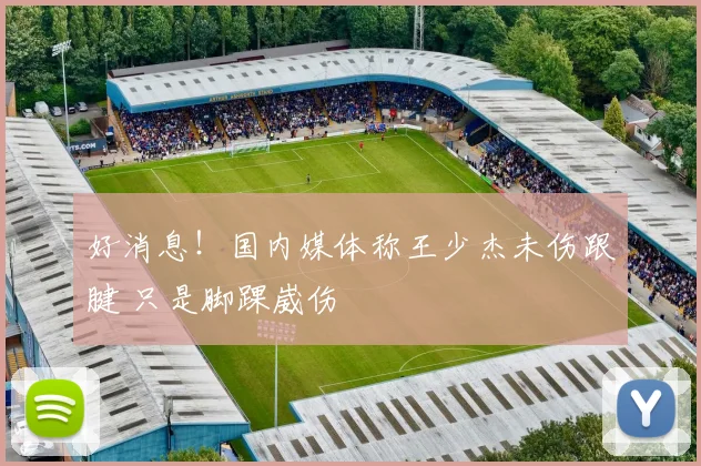 好消息！国内媒体称王少杰未伤跟腱 只是脚踝崴伤