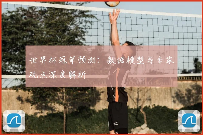 世界杯冠军预测：数据模型与专家观点深度解析