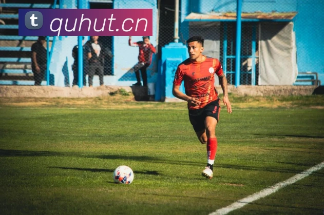 体育数据展示
